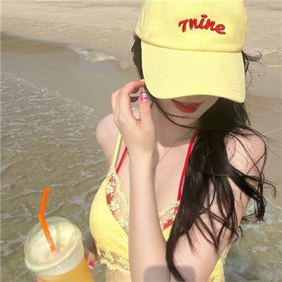 与鲨共游